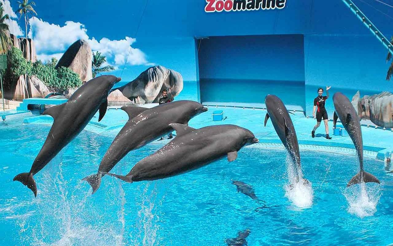Ancora Na Praia Portimão Dış mekan fotoğraf